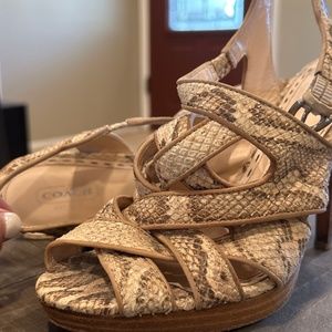Coach heeled sandals